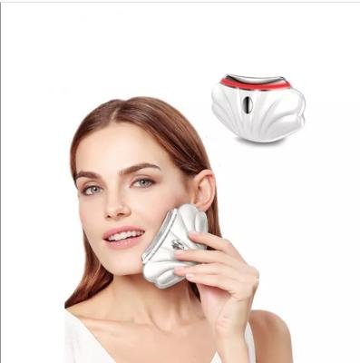 China Uso da casa que tende da personalização por atacado nova das chegadas dos produtos 2022 colaborador elétrico Handheld da beleza da pele da cara do levantamento de cara à venda