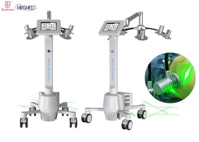 China van het de Laservermageringsdieet van 532nm 635nm 6D van het de Machinegewicht het Verlies Anticellulite 8 Duimtouch screen Te koop