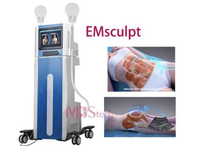 China 100Hz Electromagnetic Muscle Training EMS EMShapeing Machine for sale