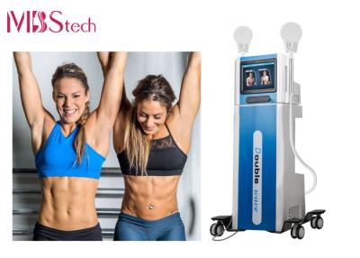 China High Frequency Fat Removal Body EMShapeing Machine for sale