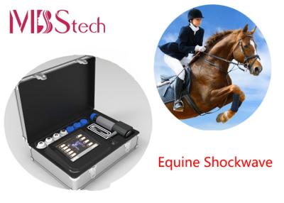 China Farm Portable Equine Pain Shockwave Therapy Machine for sale