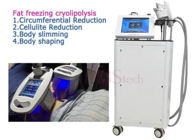 China 4 Handle Fat burning Cryolipolysis Machine For Home Use for sale