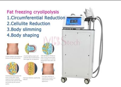 Chine 190mm 130mm double Chin Cryo Cryolipolysis Slimming Machine à vendre