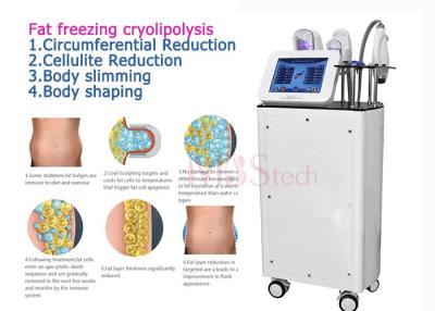 China CE Rohs Weight Loss Body EMShapeing Cryolipolysis Machine for sale
