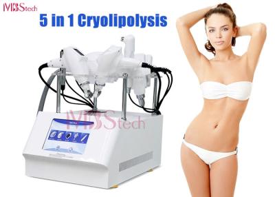 China 5 In 1 Multifunction Cryolipolysis Fat Freeze Slimming Machine for sale