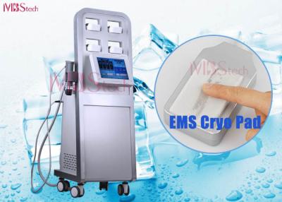 China Shockwave Cryolipolysis Slimming Machine for sale