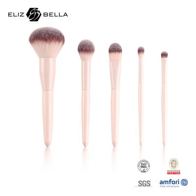 China 5PCS Travel Makeup Brushes Set Mini Cosmetic Brush Set For Women for sale