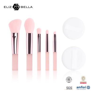 China 5pcs Cute Travel Makeup Brush Kits With Clear Printing PVC Packaging Box OEM for sale