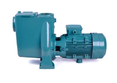 China 4hp Water Circulation Pump High Pressure For Indoor Outdoor Swimming Pool for sale