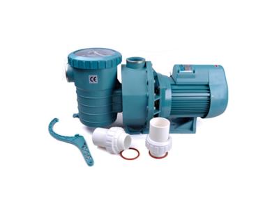 China Black Swimming Pool Water Pump , Home Above Ground Pool Water Pump for sale