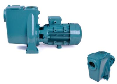 China Quiet Work Variable Speed Pool Pump , Anti Corrosive Swimming Pool Circulation Pump for sale