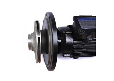 China Cast Iron Water Circulation Pump For Spa Pool Equipment Easy Installation for sale