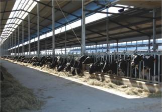 Chine Installation de fabrication de lait à échelle réduite avec du lait recevant le système UHT et de remplir à vendre