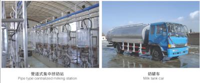 China Pequeña máquina del tratamiento de la leche, equipo de la elaboración de la leche 220V/380V en venta