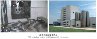 Chine Ligne électrique entièrement complète de laiterie contrôle automatique pour le lait de saveur à vendre