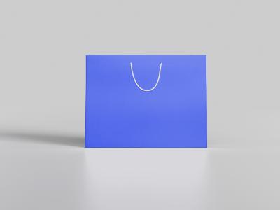 China Blue Art Printed Paper Shopping Bag With Rope Ribbon Handle Gift Packaging for sale