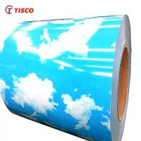Quality Fireproof Color Coated Sheet Coil Ppgi Steel Coil With Long Life Span for sale