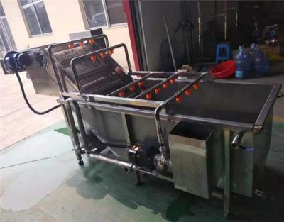 China dates washing drying sorting line,dates grading machine,dates cleaning and sorting machine for sale