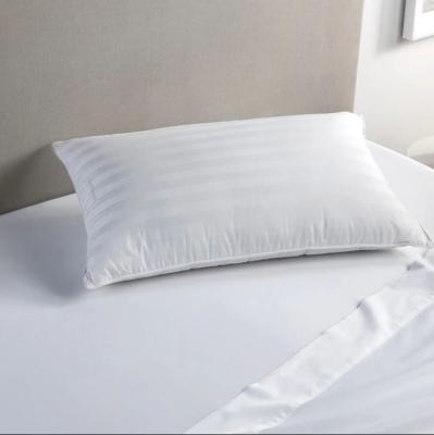 Chine Insertions 100% fraîches d'oreiller de lit de maison de bordure de coton à vendre