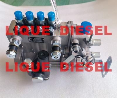 China Diesel Pump BH4QT95R9 kangda pump en venta
