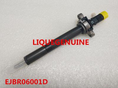 China DELPHI INJECTOR EJBR06001D , R06001D ,968843858  Original and New Common Rail Injector EJBR06001D , R06001D , 9688438580 for sale