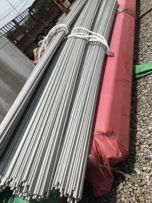 China High Quality TP446 Stainless Steel Seamless Tube /  Stainless Steel Pipe for sale