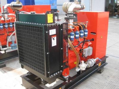 China Acetylene Brushless Natural Gas Generator , 10kw To 100kw Water Cooled Gas Generator for sale