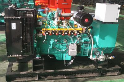China 10kva - 125kva Natural Gas Generator Leroy Somer Alternator With Low Fuel Consumption for sale