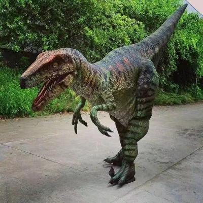 China Dinosaurio Raptor traje de dinosaurio real para la venta en venta
