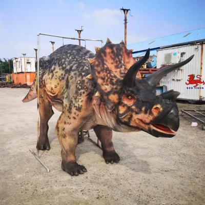China Custom Realistic Adult Triceratops Dinosaur Costume For Two Performers for sale