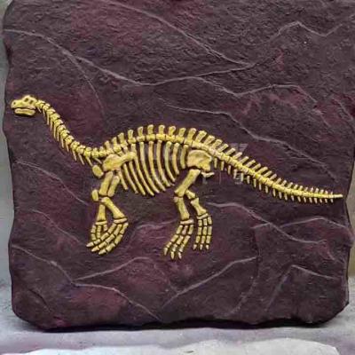 China Outdoor Dinosaur Skeleton Replica Model Life Size RoHS Approved for sale