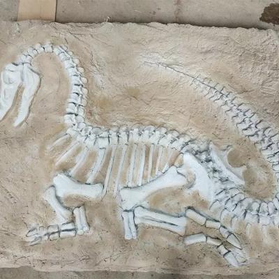 China Reproducción de tamaño natural del dinosaurio, fósil de la reproducción del dinosaurio para las actividades económicas en venta