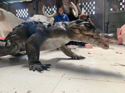 China Interactive Realistic Crocodile Costume For Amusement Park for sale
