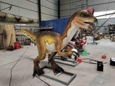 China Velociraptor Animatronic del parque temático del robot realista adulto del dinosaurio en venta