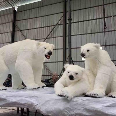 Κίνα Θεματικά πάρκα Αυθεντική ζωολογία με φωνή και ζώα προς πώληση