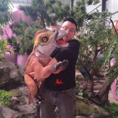 China Amusement Park Products Robotic Animatronics Baby Realistic Iguanodonte Puppet For Sale Te koop