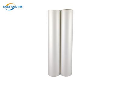 China Bright Color Printing Transfer PET Film DTF Film Roll 0.075mm A3 A4 Size 60cm Width for sale