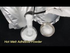 1KG Factory Direct Supply Heat Transfer Polyurethane Hot Melt Adhesive Powder in Textile