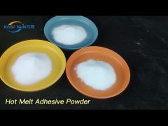 Soft DTF  TPU Polyurethane Hot Melt Adhesive Heat Transfer Powder for  DTF Print
