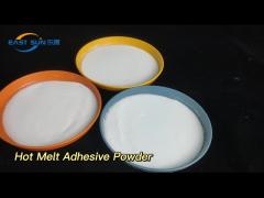 PES Polyester 80um 1700um Hot Melt Adhesive Powder Washable Properties