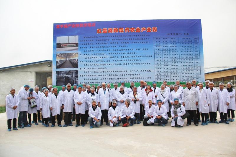 Proveedor verificado de China - Shaanxi hongxing Meiing dairy Co.,ltd