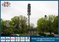 China 30m Steel Disguised Pine Tree Telecommunication Towers Polygonal Galvanized for sale