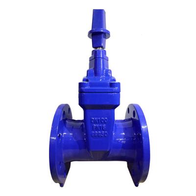 China Customized Resilient Seated Ductile Iron Valve Double Flanged Sluice Valve for sale