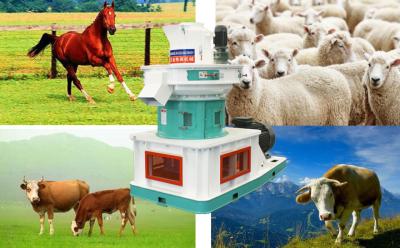 China Jingerui easy operation sheep feed particle machine china for sale -----Jingerui for sale