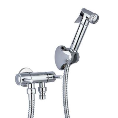 China Ceramic Cartridge Cold Water Taps With Bidet Shower, One Hole in Wall Mounted en venta