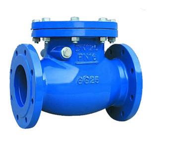 China Multi Single Disc Door Flanged PN10 Stainless Swing Check Valve for sale