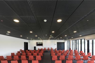 Chine Panneaux de plafond en aluminium composite OEM / ODM pour les conceptions de toits à vendre
