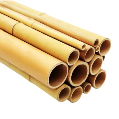 China Polo de bambu cru 100% natural para bastões de bambu de jardinagem/estacas da qualidade superior da construção e da decoração à venda