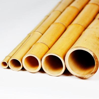 China Eco Friendly 3 Inch Moso Bamboo Pole Bamboo Stakes For Plant Decoration Yellow for sale