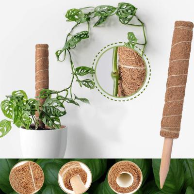 China 44cm Coir Moss Totem Pole Kit For Plants Climbing And Supporting Plants Coconut Pole for sale